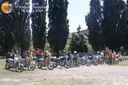 colli.jpg