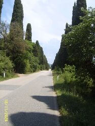 Nome del file=A_288729.jpg
Dimensione del file=463KiB
Dimensioni=1200x1600
Aggiunta il=08 Giu 2023 A_288729.jpg