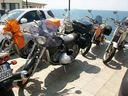 Livorno_16_17_luglio_2010_282229.jpg