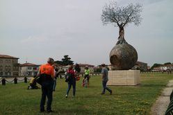 138.JPG