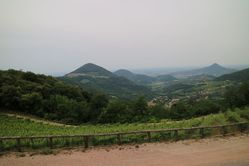 183.JPG