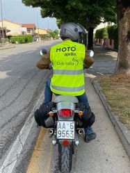 441.jpg