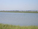 Nome del file=a_288129.JPG
Dimensione del file=160KiB
Dimensioni=1024x768
Aggiunta il=14 Gen 2017 a_288129.JPG