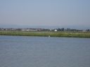 Nome del file=a_288229.JPG
Dimensione del file=147KiB
Dimensioni=1024x768
Aggiunta il=14 Gen 2017 a_288229.JPG