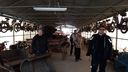Nome del file=gottardpark_281529.jpg
Dimensione del file=152KiB
Dimensioni=1024x576
Aggiunta il=06 Apr 2017 gottardpark_281529.jpg