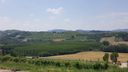 Nome del file=langhe_283129.jpg
Dimensione del file=328KiB
Dimensioni=1600x900
Aggiunta il=20 Giu 2017 langhe_283129.jpg
