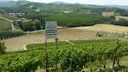 Nome del file=langhe_287929.jpg
Dimensione del file=453KiB
Dimensioni=1600x900
Aggiunta il=20 Giu 2017 langhe_287929.jpg