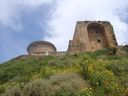 Nome del file=02_2810629.JPG
Dimensione del file=254KiB
Dimensioni=1024x768
Aggiunta il=14 Gen 2017 02_2810629.JPG