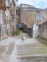 Nome del file=02_2812229.JPG
Dimensione del file=249KiB
Dimensioni=768x1024
Aggiunta il=14 Gen 2017 02_2812229.JPG