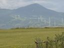 Nome del file=02_2814129.JPG
Dimensione del file=173KiB
Dimensioni=1024x768
Aggiunta il=14 Gen 2017 02_2814129.JPG