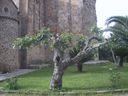 Nome del file=02_2814729.JPG
Dimensione del file=290KiB
Dimensioni=1024x768
Aggiunta il=14 Gen 2017 02_2814729.JPG