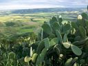 Nome del file=03_28129.jpg
Dimensione del file=220KiB
Dimensioni=1024x768
Aggiunta il=14 Gen 2017 03_28129.jpg