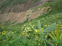 Nome del file=03_286229.jpg
Dimensione del file=319KiB
Dimensioni=1024x768
Aggiunta il=14 Gen 2017 03_286229.jpg