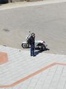 Nome del file=mazapegul_2823729.JPG
Dimensione del file=294KiB
Dimensioni=1200x1600
Aggiunta il=08 Giu 2017 mazapegul_2823729.JPG