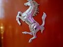 Nome del file=GALLERIA_FERRARI_MARANELLO_016.jpg
Dimensione del file=61KiB
Dimensioni=1024x768
Aggiunta il=14 Gen 2017 GALLERIA_FERRARI_MARANELLO_016.jpg
