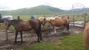Nome del file=raduno2016_28829.jpg
Dimensione del file=215KiB
Dimensioni=1600x900
Aggiunta il=13 Gen 2017 raduno2016_28829.jpg