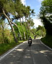 Nome del file=sanmarino_2823729.jpg
Dimensione del file=140KiB
Dimensioni=494x600
Aggiunta il=15 Gen 2017 sanmarino_2823729.jpg