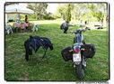 Nome del file=z_284229.JPG
Dimensione del file=475KiB
Dimensioni=1063x780
Aggiunta il=14 Gen 2017 z_284229.JPG