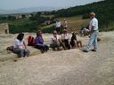 Nome del file=155.JPG
Dimensione del file=203KiB
Dimensioni=1024x768
Aggiunta il=18 Giu 2019 155.JPG