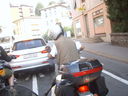 Nome del file=SUC50473.JPG
Dimensione del file=528KiB
Dimensioni=2048x1536
Aggiunta il=10 Feb 2017 SUC50473.JPG