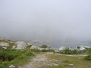 Nome del file=SUC50513.JPG
Dimensione del file=415KiB
Dimensioni=2048x1536
Aggiunta il=10 Feb 2017 SUC50513.JPG