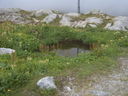Nome del file=SUC50514.JPG
Dimensione del file=700KiB
Dimensioni=2048x1536
Aggiunta il=10 Feb 2017 SUC50514.JPG