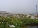 Nome del file=SUC50515.JPG
Dimensione del file=512KiB
Dimensioni=2048x1536
Aggiunta il=10 Feb 2017 SUC50515.JPG