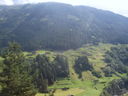Nome del file=SUC50568.JPG
Dimensione del file=492KiB
Dimensioni=2048x1536
Aggiunta il=10 Feb 2017 SUC50568.JPG