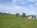 Nome del file=SUC50621.JPG
Dimensione del file=437KiB
Dimensioni=2048x1536
Aggiunta il=10 Feb 2017 SUC50621.JPG