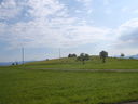 Nome del file=SUC50623.JPG
Dimensione del file=450KiB
Dimensioni=2048x1536
Aggiunta il=10 Feb 2017 SUC50623.JPG